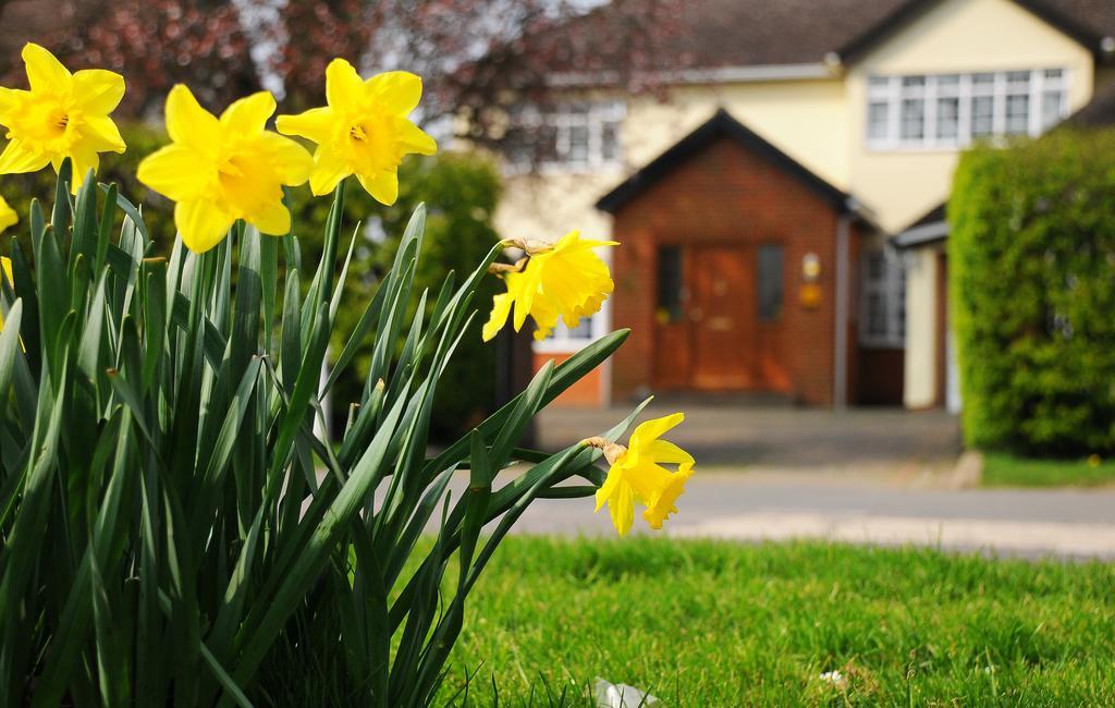 Dunmow Guest House Great Dunmow Esterno foto